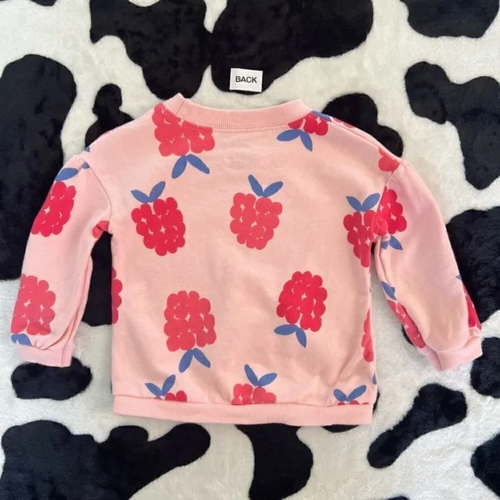 Baby Girl's Carter's 2 piece set Raspberry Sweater‎ and Short Set 6 months